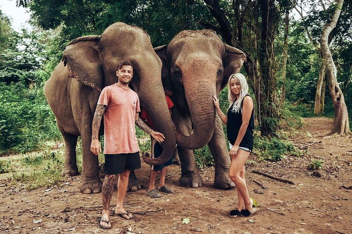 Elephant Sanctuary_travellers enjoying time with some lovely thai elephants