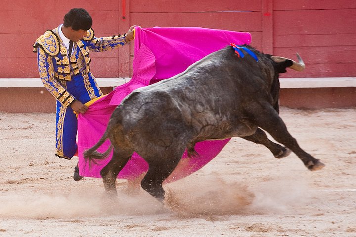 Corrida_In_Arles_200904131