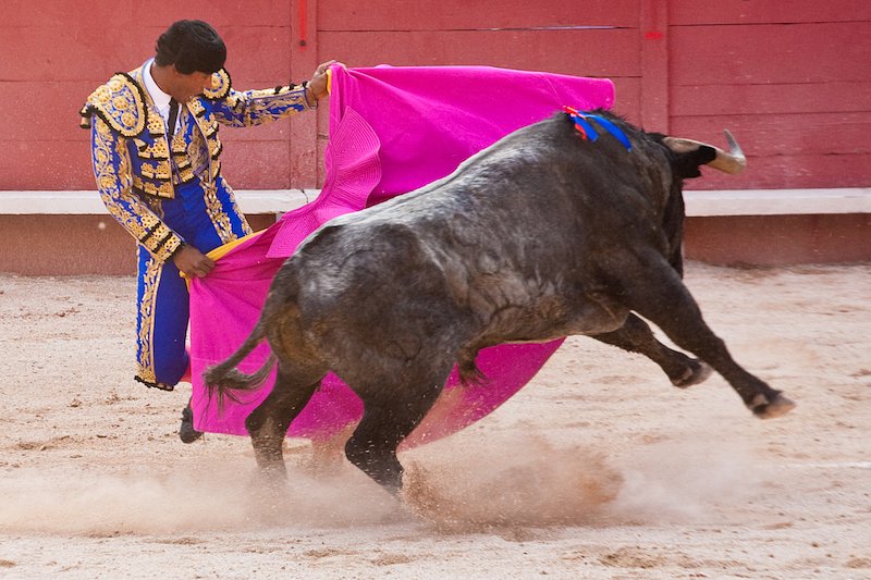 Corrida_In_Arles_200904131