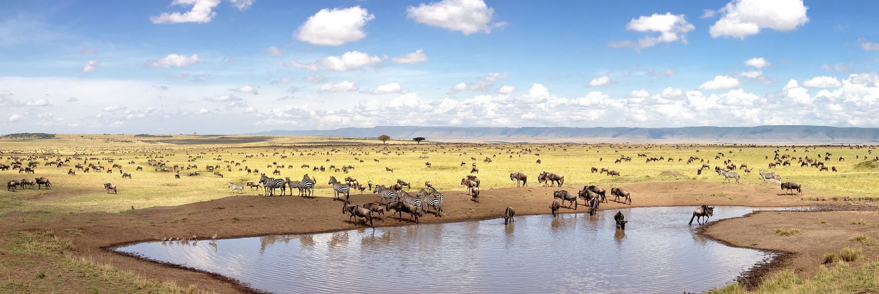 Kenya