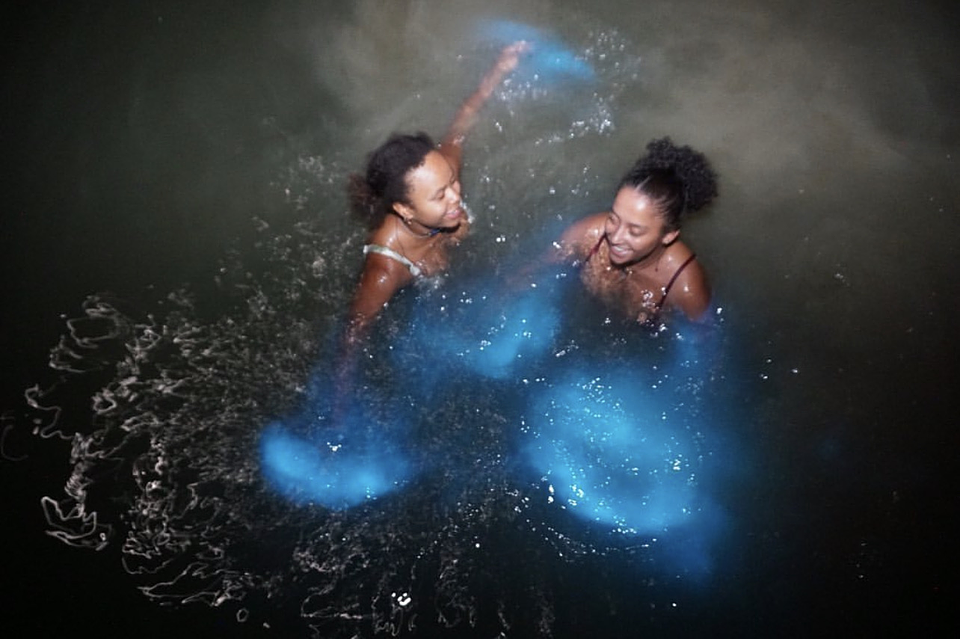 Luminous Lagoon Night Experience