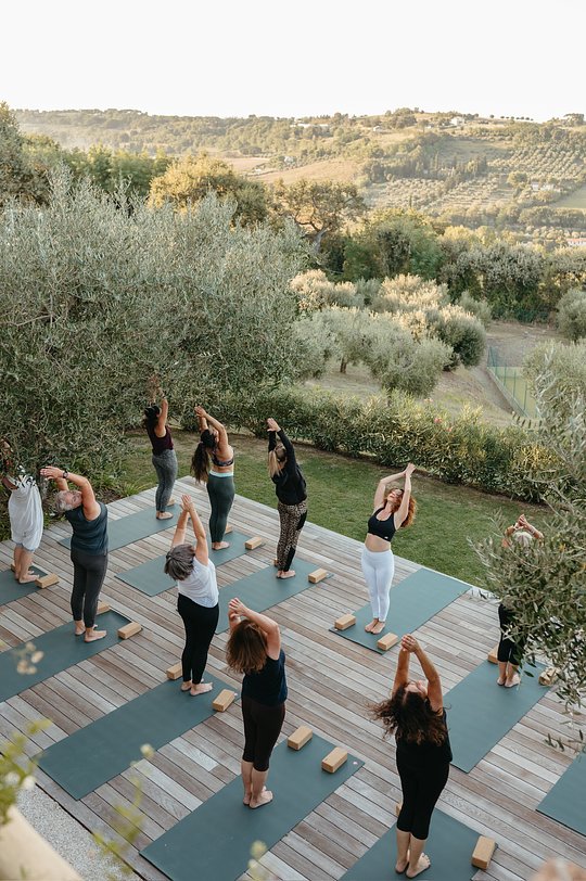 Daily Movement Classes