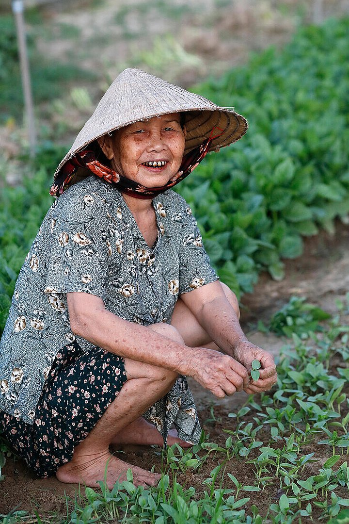 13818599FarmeratworkagricultureorganicvegetablegardensinTraQueVillageHoiAnVietnamIndochinaSoutheast