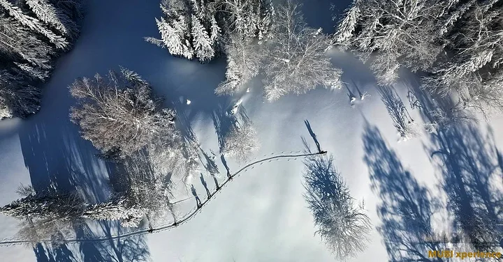 Altai xploration