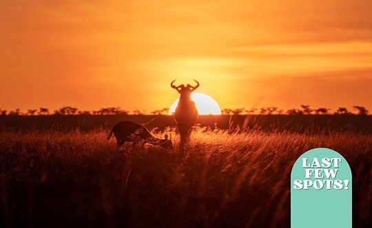 Kenya Edition- September 8th to 29th, 2024