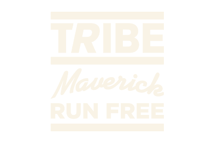 tribe202201_thumb