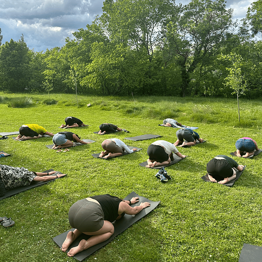Rejuvenating Yoga