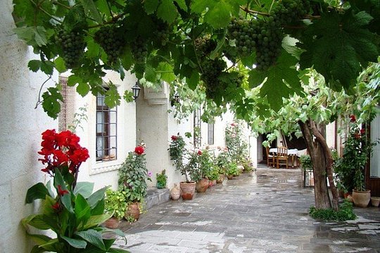 Aravan Evi Village Experience