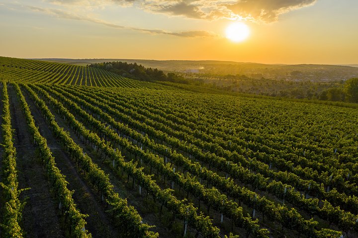 beautifulsunsetovergreenhillswithcultivated20241018075001utc1