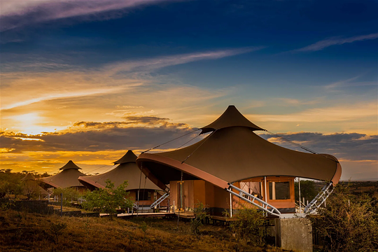 Swahili Elegance in the Mara