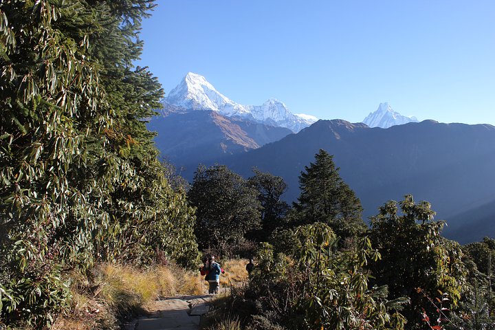 Stay at Buddhist monastery with monks