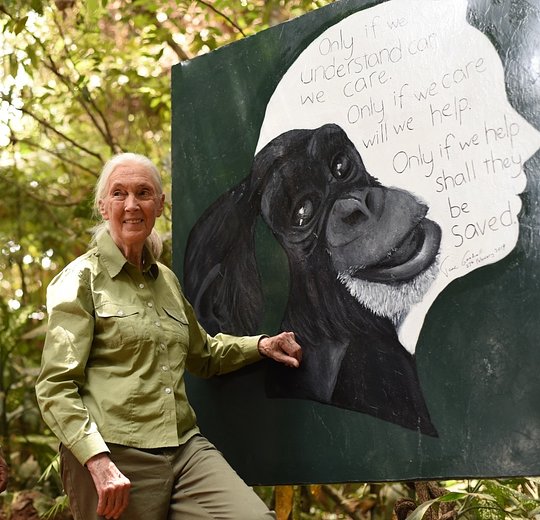 In the Footsteps of Dr. Jane Goodall