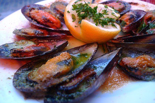 janoumussels11