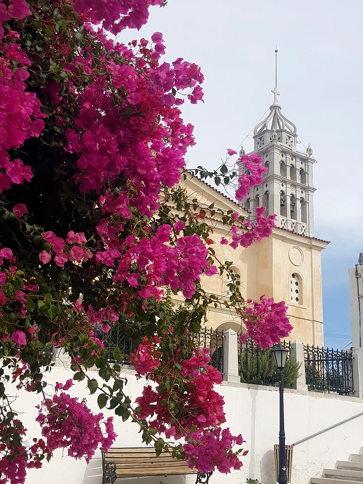 buildingandflower2