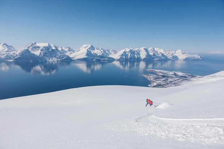 hendrikmorkelKA3gQ2vWmT0unsplash