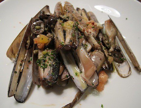 clams11