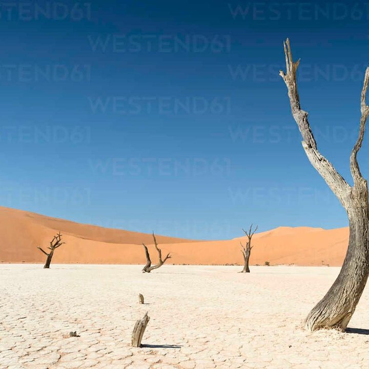NamibiaNamibNaukluftPark