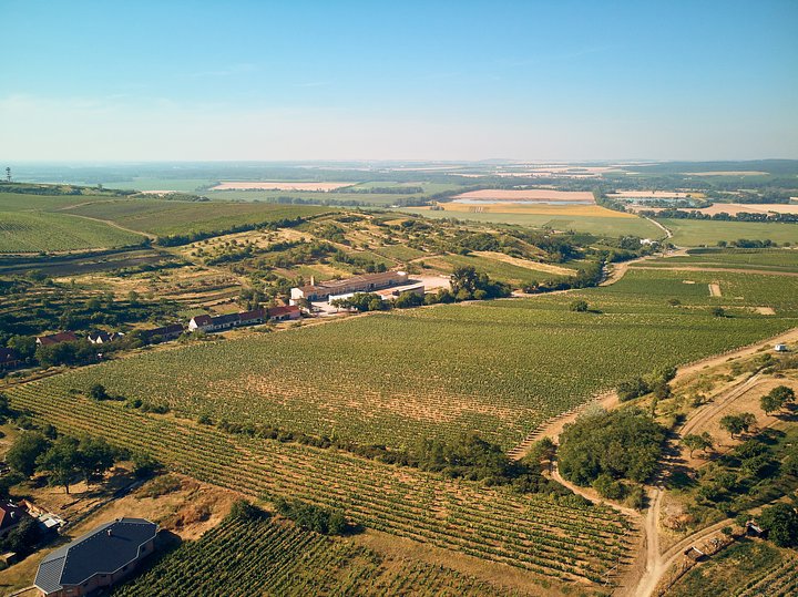 aerialviewoflandscapewithfieldsandbuildings20241119083037utc