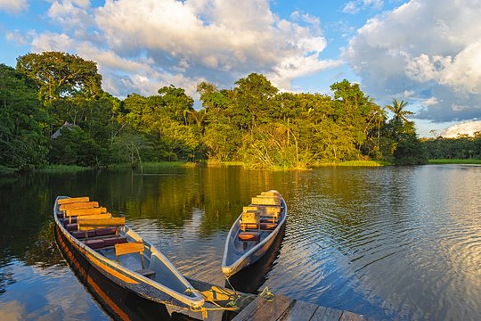 5-Day/4 Night Post-Trip Extension to the Amazon Rainforest - Shared Room (Minimum of 5 ladies) - Price is per person. Each guest must book individually. 