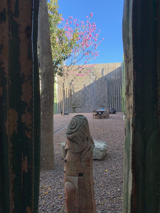 Stay at a calm yet chic hotel in central Oaxaca