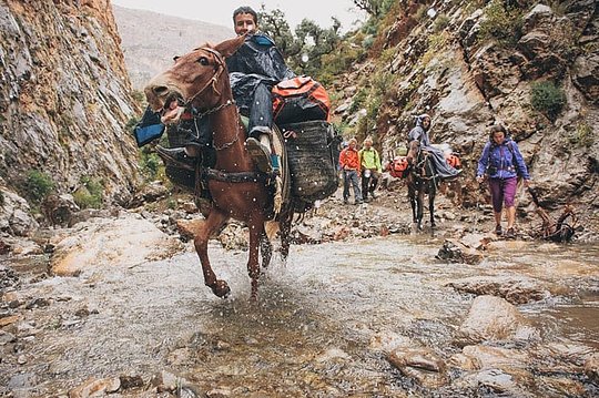 Amazigh hospitality at its best