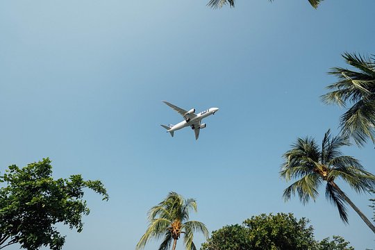 Book My Flights For Me