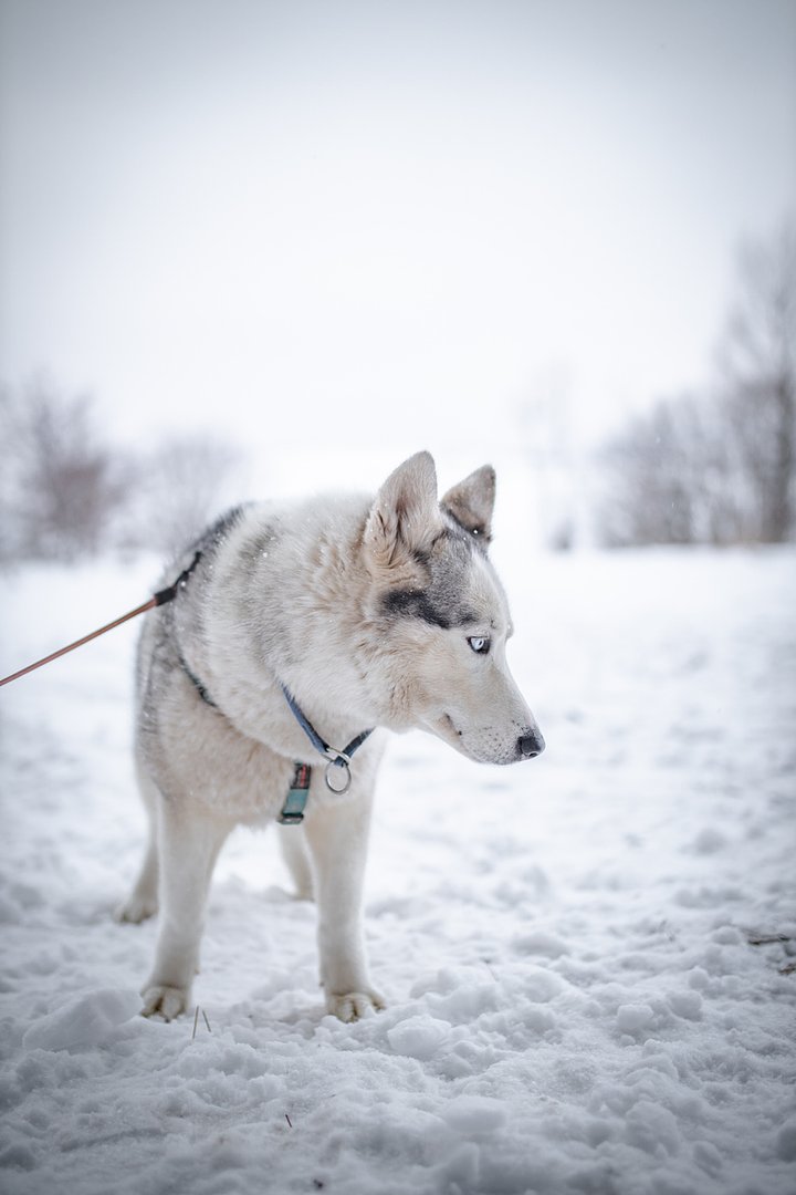 iStock1946175829