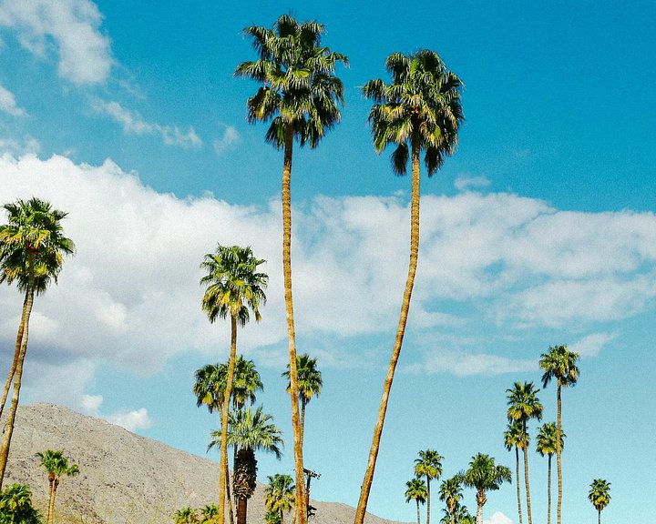 taylorsimpsonqHNN1LpKoA8unsplash