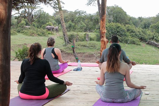 Yoga in the Wild