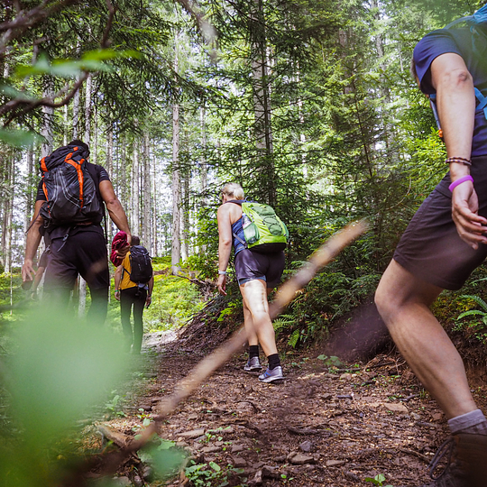 Professional Mountain Leaders