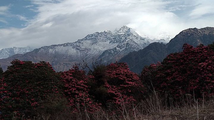 hikinghimalayanepal