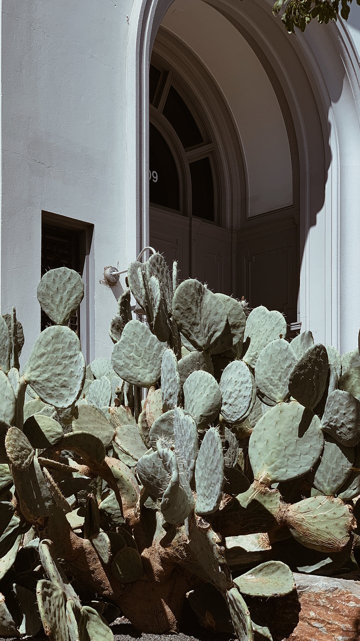 durianbulletusv_w429DUunsplash