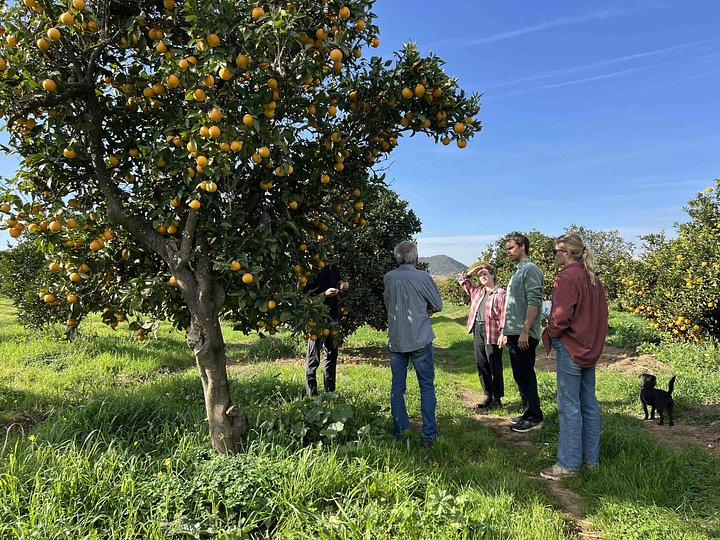 farmtotablealgarve