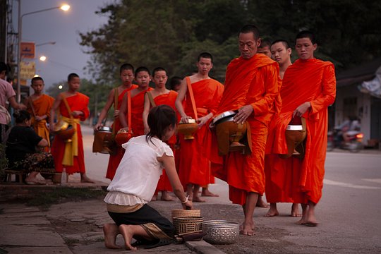 Partake in Chiang Mai's alms offering at sunrise