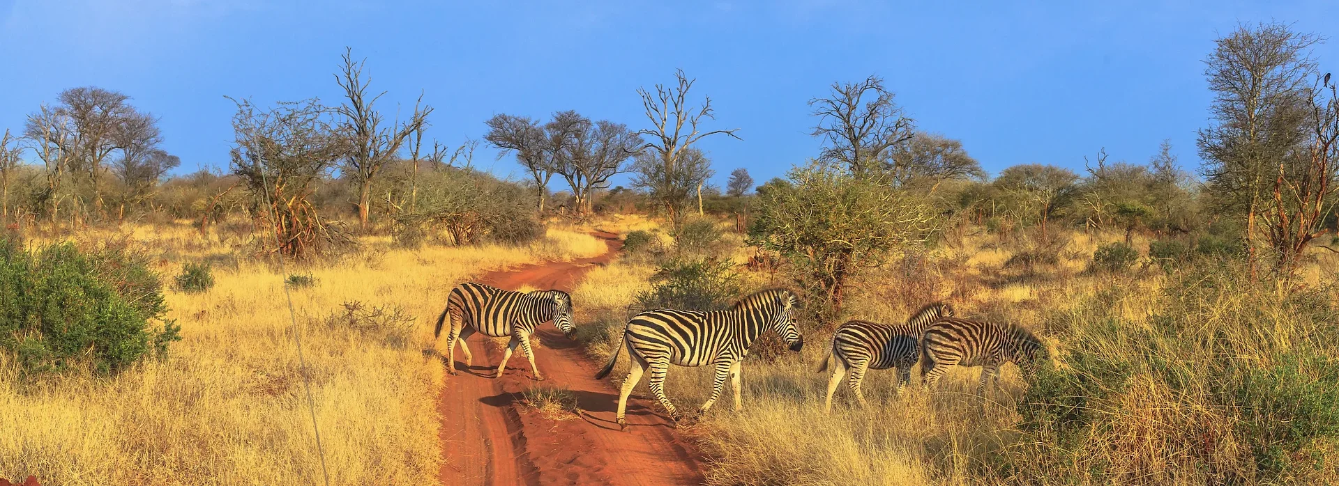 The Many Faces of South Africa