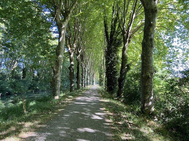 2022_Impresa_Occitane_trees_02