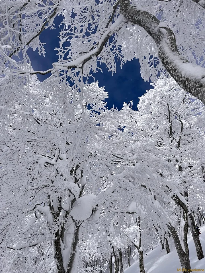 mubixperiencevoyageskisnowboardjapon1