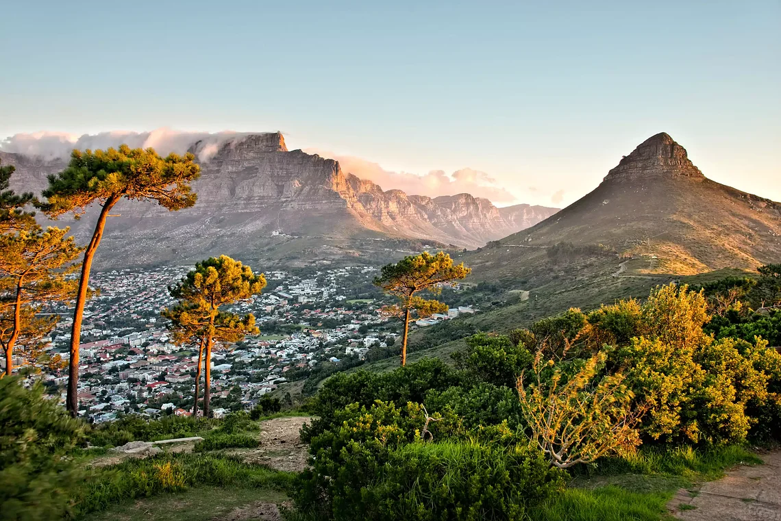 shutterstock_220883686_1_copy