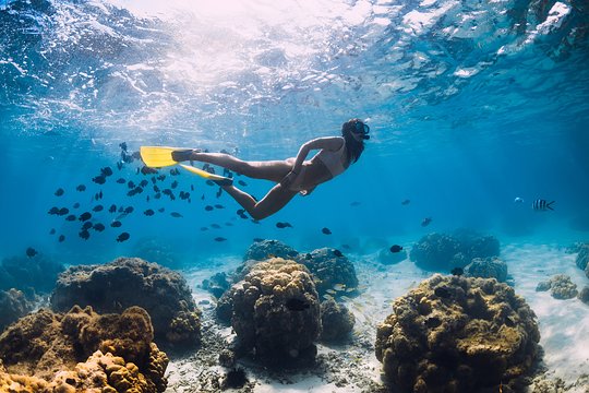 Take a dip in the crystal clear waters of Blue Bay Marina, swimming with schools of colorful tropical fish