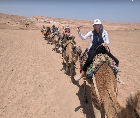 Desert Camel Trek