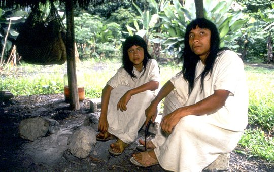Indigenous people