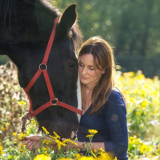 Meditate with Horses