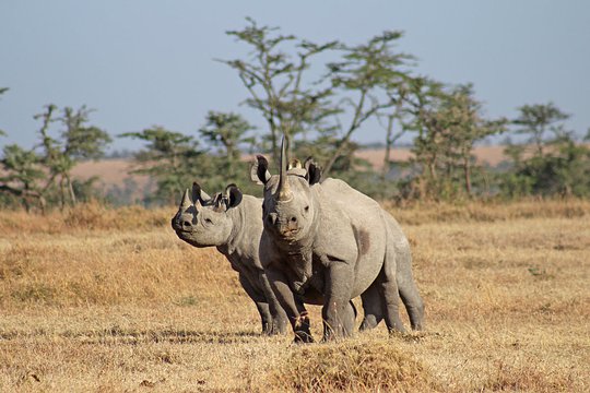 Conservancy Donation 