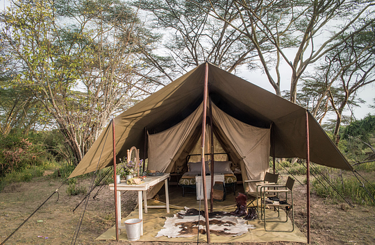 Safari Tents