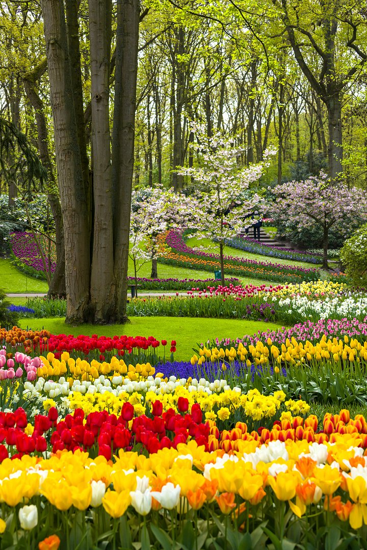 KeukenholfGarden