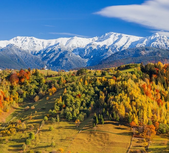Travel Clinic: Transylvania