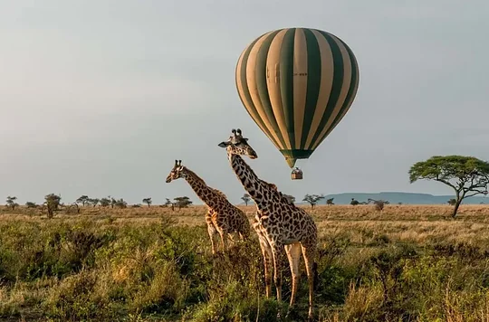 Hot Air Balloon Ride 