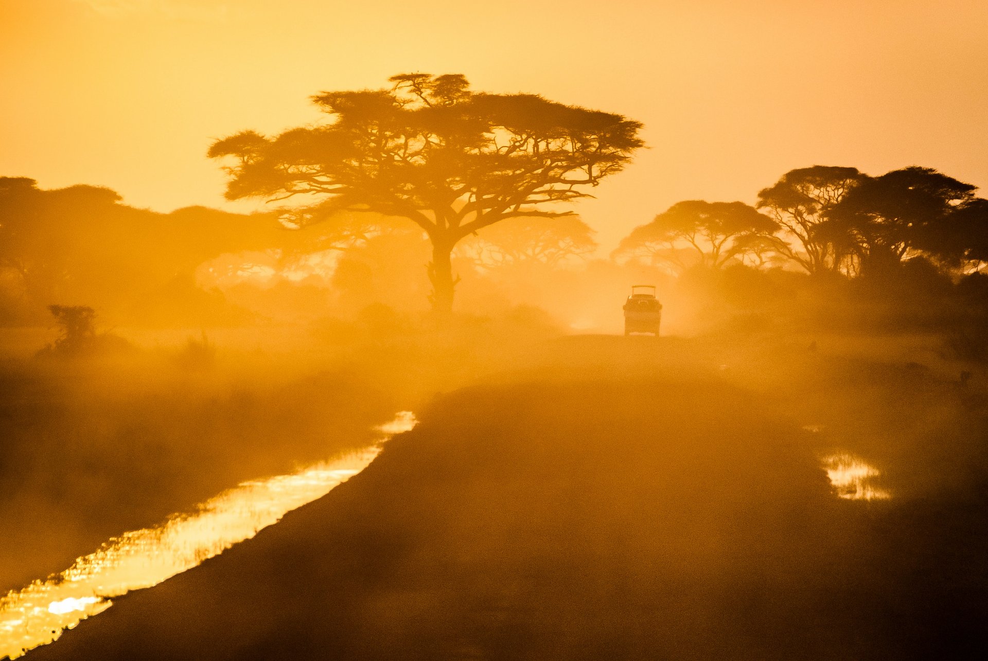 sergeypesterevwdMWMHXUpscunsplash
