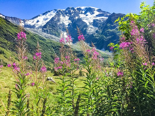 WHY THE TOUR DU MONT BLANC?
