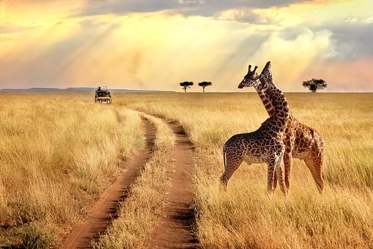 Look for game in three diverse wilderness parks
